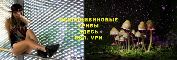 ГАЛЛЮЦИНОГЕННЫЕ ГРИБЫ Белокуриха