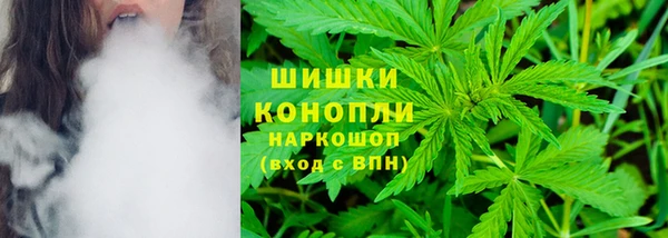 ГАЛЛЮЦИНОГЕННЫЕ ГРИБЫ Белокуриха