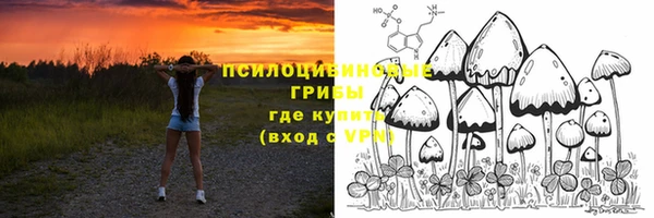 ГАЛЛЮЦИНОГЕННЫЕ ГРИБЫ Белокуриха