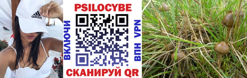 Галлюциногенные грибы MAGIC MUSHROOMS  Кстово 